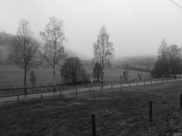 01 - (c) E Rockstroh.jpg